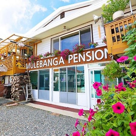 Osakae Anteo Mulraebang-A Pension Янъян Экстерьер фото